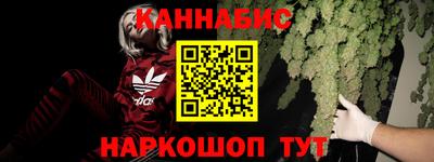 сатива Нальчик