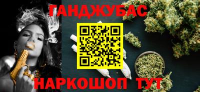 сатива Нальчик