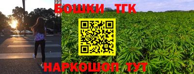 сатива Нальчик