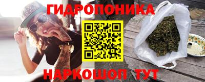 сатива Нальчик