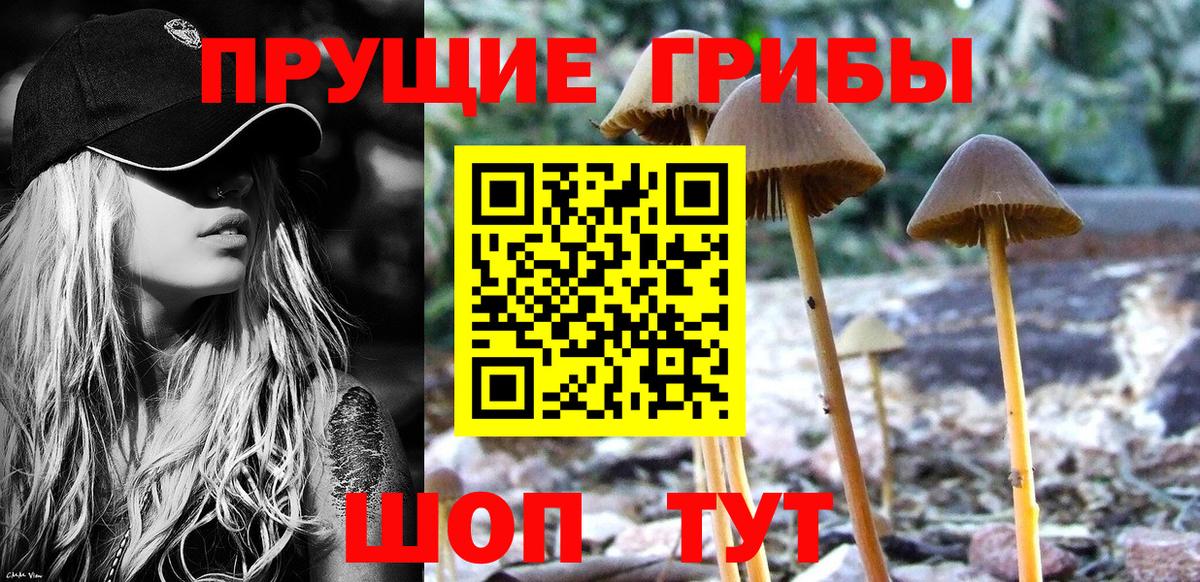 Удомля  Галлюциногенные грибы мухоморы  Вход с VPN 